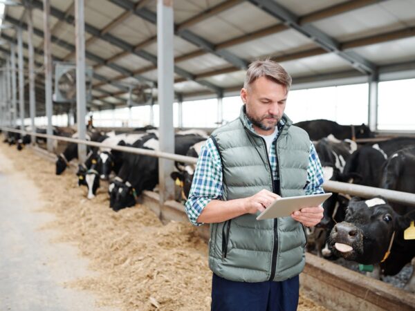 Estratégias de climatização para o agronegócio